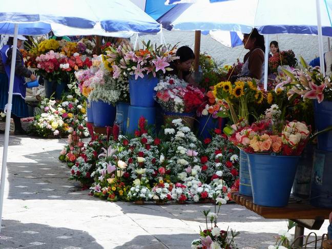 Flower market in downtown historical Cuenca